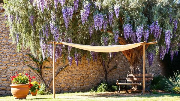 Ideas innovadoras de ombrières en Provence para enriquecer tu patio